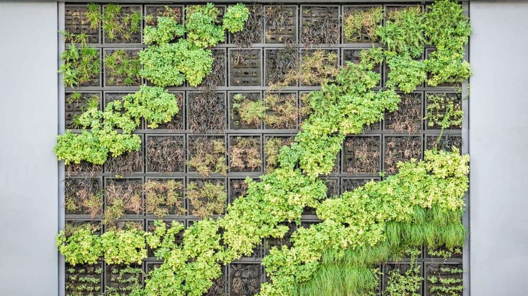 jardim vertical