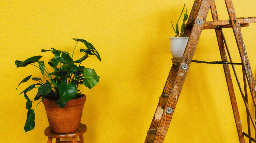 amarelo na decoração